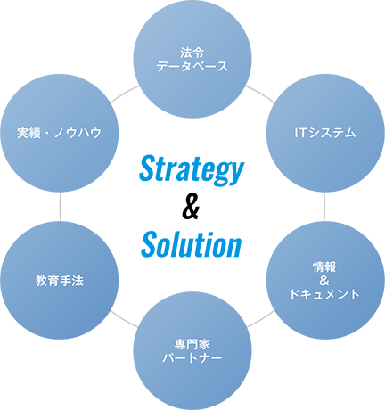 Strategy&Solution法令データベースITシステム情報&ドキュメント専門家パートナー教育手法実績・ノウハウ