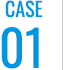 CASE01